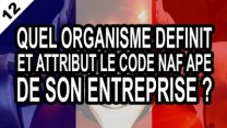 Quel organisme définit et attribut le code NAF APE de son entreprise ?