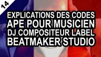 Explications des codes APE susceptibles de convenir pour un musicien,